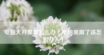 电脑开机黑屏处理方式？如何快速诊断并解决问题？